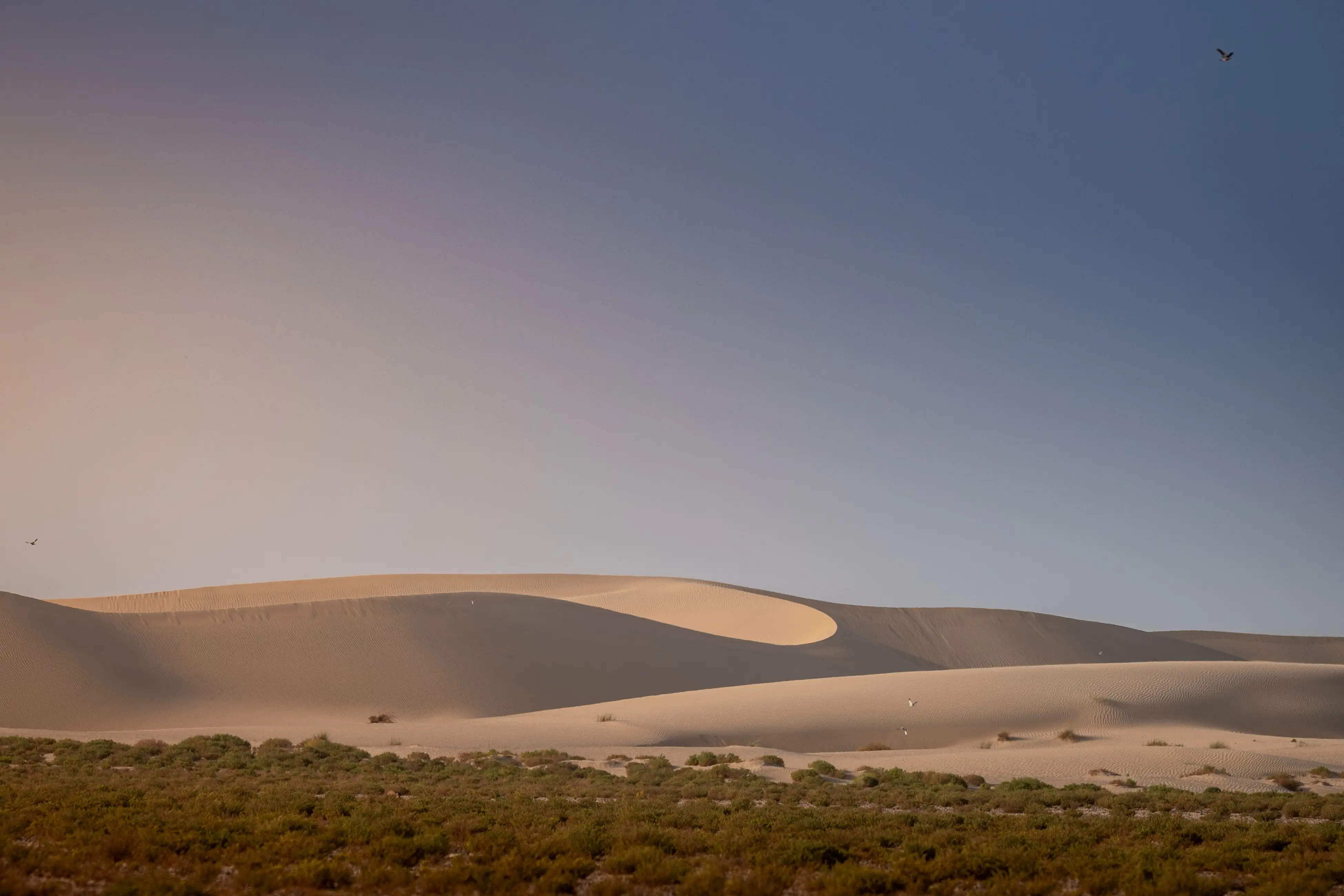 Dunas del desierto de Dubái, Emiratos Árabes Unidos