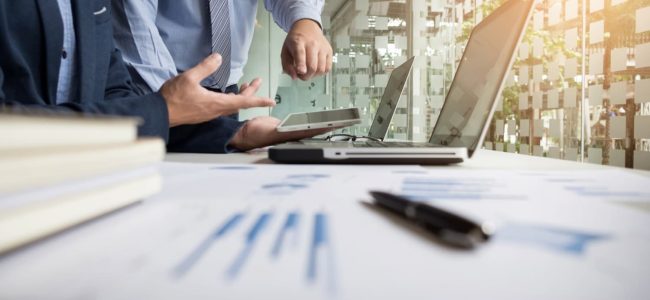 corporate holding consulting